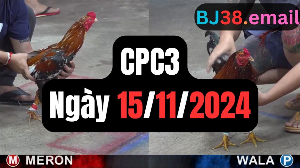 Xem đá gà CPC3 15-11-2024