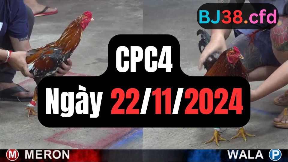 Xem đá gà CPC4 22-11-2024