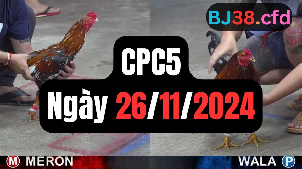 Xem đá gà CPC5 26-11-2024
