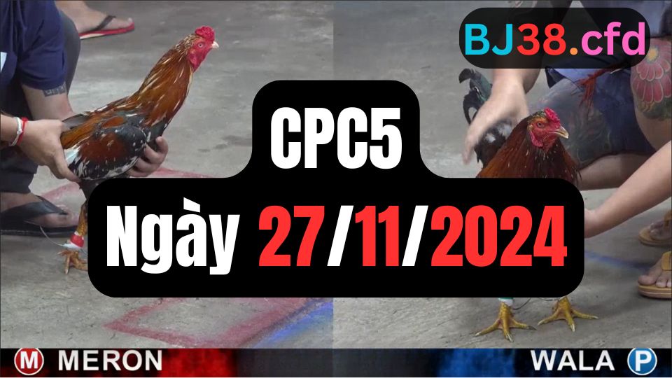 Xem đá gà CPC5 27-11-2024