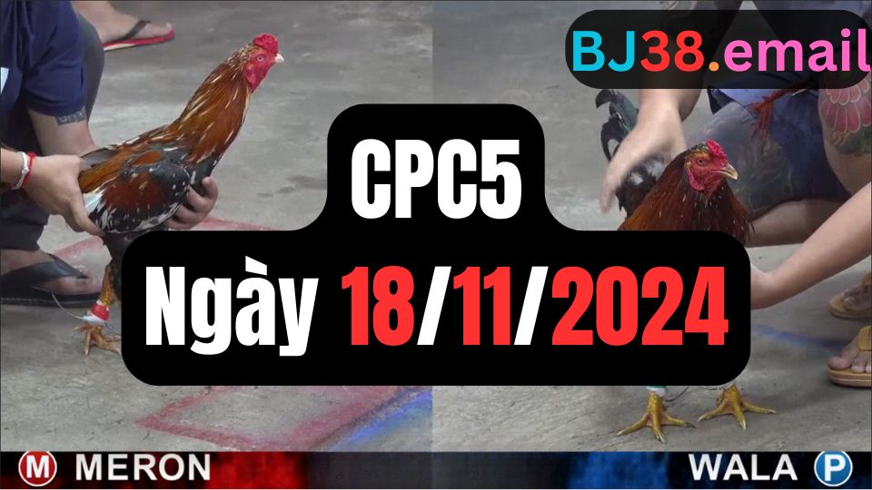 Xem đá gà CPC5 18-11-2024