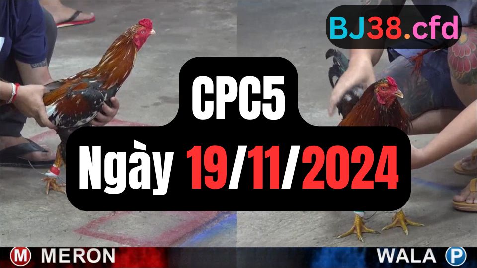Xem đá gà CPC5 19-11-2024