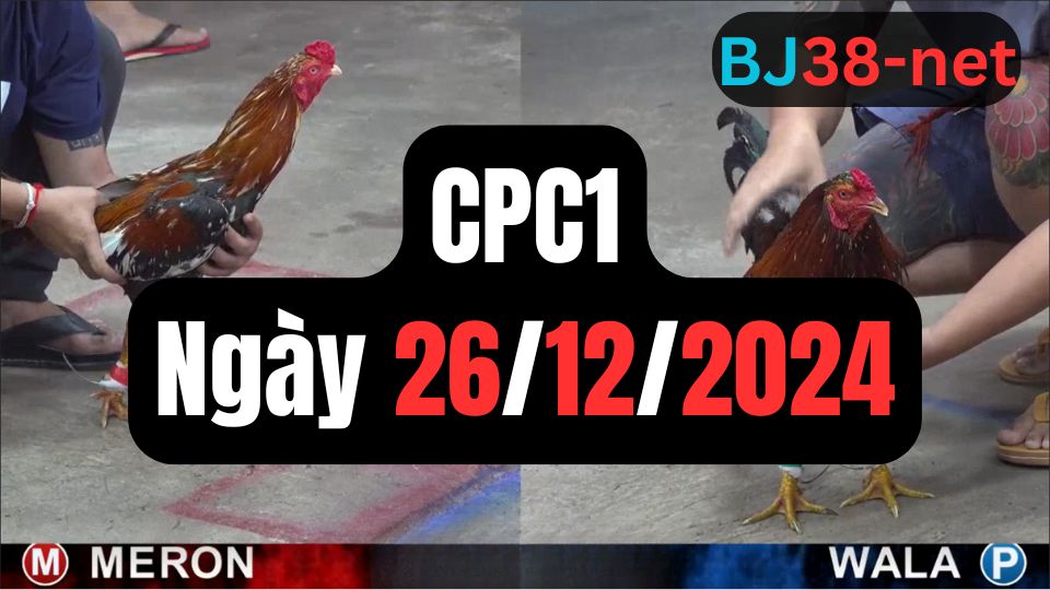 Xem đá gà CPC1 26-12-2024