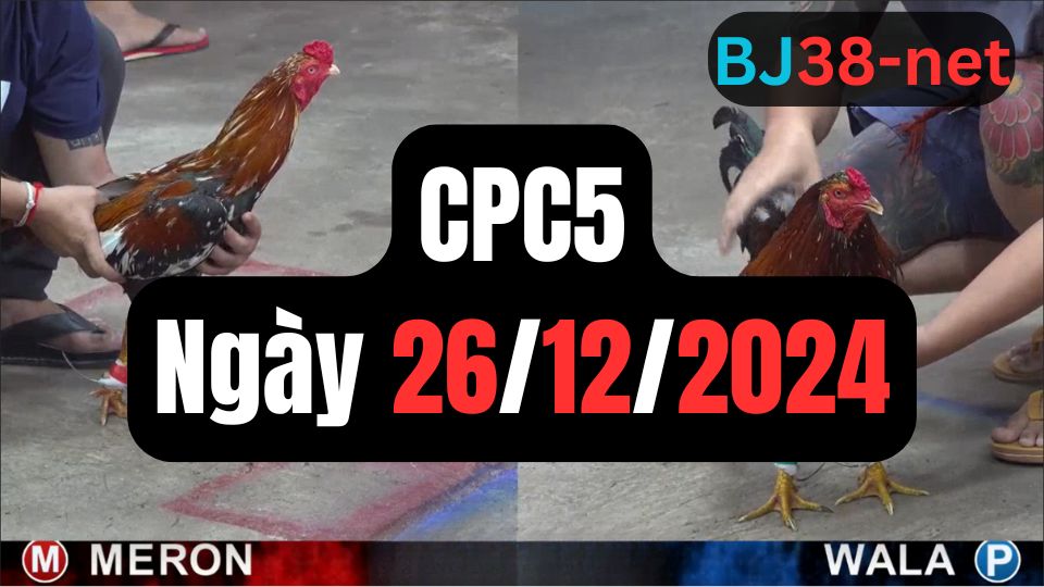 Xem đá gà CPC5 26-12-2024